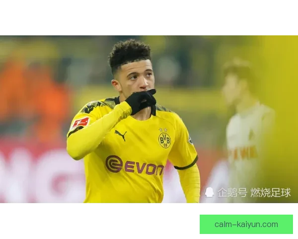 多特转会策略分析：面临挑战与机遇并存的市场动态