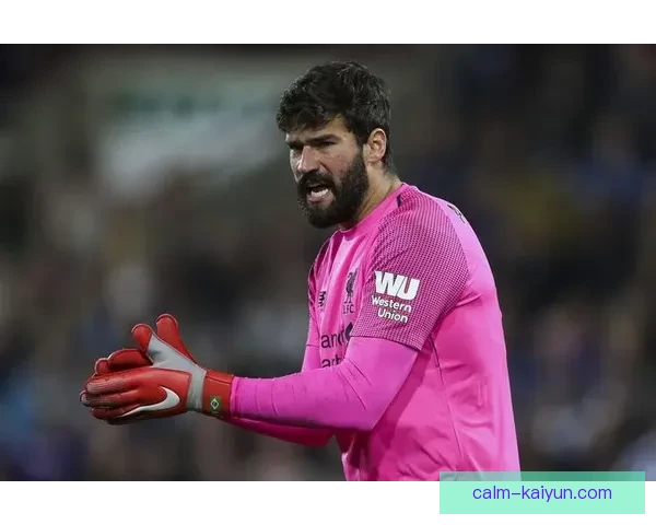 斯洛伐克超级联赛近况解析，球队竞争力增强趋势明显